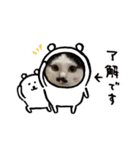 ニアチョビスタンプ（個別スタンプ：17）