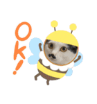 ニアチョビスタンプ（個別スタンプ：20）
