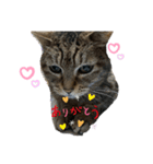 ぺこちゃん♡べるちゃん（個別スタンプ：5）