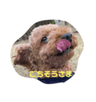嵐（らん）のスタンプ（個別スタンプ：5）