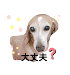 かわいいまりん2（個別スタンプ：1）