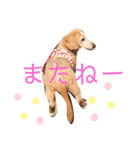かわいいまりん2（個別スタンプ：8）