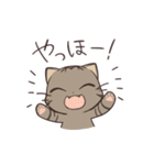 きじねこのトム2（個別スタンプ：1）