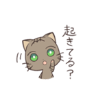 きじねこのトム2（個別スタンプ：9）