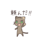 きじねこのトム2（個別スタンプ：13）