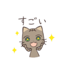 きじねこのトム2（個別スタンプ：27）