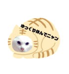 ランちゃんシリーズⅡ（個別スタンプ：8）