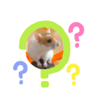 ねずこのスタンプ。（個別スタンプ：13）