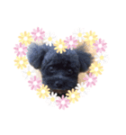 COCOちゃん♡♡（個別スタンプ：2）