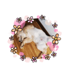愉快な怜央14（個別スタンプ：1）