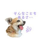 テツコのすたんぷ2（個別スタンプ：6）