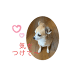 テツコのすたんぷ2（個別スタンプ：7）