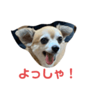 テツコのすたんぷ2（個別スタンプ：11）