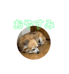 テツコのすたんぷ2（個別スタンプ：12）