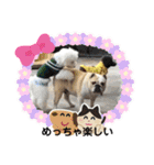 ブルドッグの短足犬もあい♡（個別スタンプ：7）