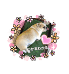 ブルドッグの短足犬もあい♡（個別スタンプ：10）