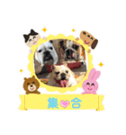 ブルドッグの短足犬もあい♡（個別スタンプ：14）