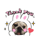 ブルドッグの短足犬もあい♡（個別スタンプ：16）