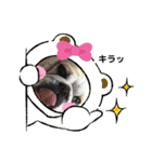 ブルドッグの短足犬もあい♡（個別スタンプ：18）