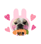 ブルドッグの短足犬もあい♡（個別スタンプ：21）