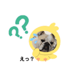 ブルドッグの短足犬もあい♡（個別スタンプ：22）