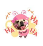 ブルドッグの短足犬もあい♡（個別スタンプ：23）
