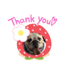 ブルドッグの短足犬もあい♡（個別スタンプ：25）