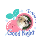 ブルドッグの短足犬もあい♡（個別スタンプ：26）