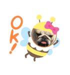 ブルドッグの短足犬もあい♡（個別スタンプ：29）