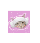 ちょんたろ（個別スタンプ：1）