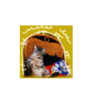 ちょんたろ（個別スタンプ：6）