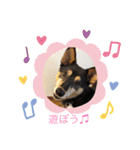 まめちゃんスタンプ.2（個別スタンプ：2）
