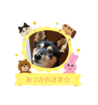 まめちゃんスタンプ.2（個別スタンプ：7）