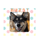 まめちゃんスタンプ.2（個別スタンプ：8）