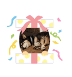 まめちゃんスタンプ.2（個別スタンプ：20）