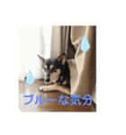 まめちゃんスタンプ.2（個別スタンプ：21）