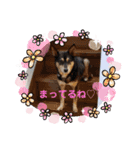 まめちゃんスタンプ.2（個別スタンプ：24）
