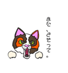 catcatcat_kazusandraw（個別スタンプ：34）