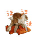 我が家のにゃんたち（個別スタンプ：10）