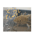 ウっちゃんとゆかいな仲間たち3匹（個別スタンプ：3）