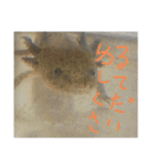 ウっちゃんとゆかいな仲間たち3匹（個別スタンプ：4）