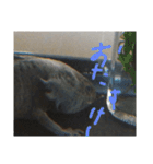 ウっちゃんとゆかいな仲間たち3匹（個別スタンプ：6）