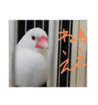 ウっちゃんとゆかいな仲間たち3匹（個別スタンプ：8）
