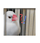 ウっちゃんとゆかいな仲間たち3匹（個別スタンプ：16）