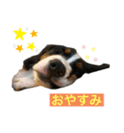あいらるんみらるん（個別スタンプ：4）