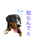 あいらるんみらるん（個別スタンプ：9）