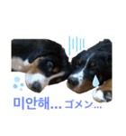 あいらるんみらるん（個別スタンプ：15）