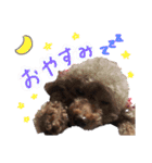 きりりんスタンプ（個別スタンプ：3）