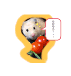 我が家のとんすけ（個別スタンプ：6）
