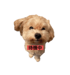 るい＆りく（個別スタンプ：1）